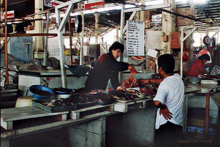 Mercado Central (Markt)