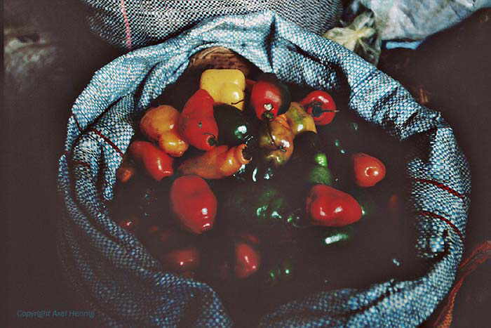 Mercado Central (Markt)