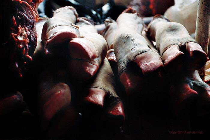 Mercado Central (Markt)