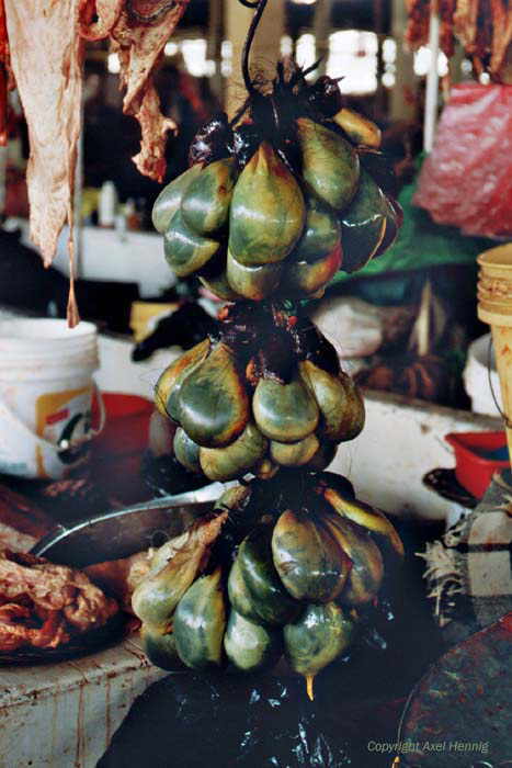 Mercado Central (Markt)
