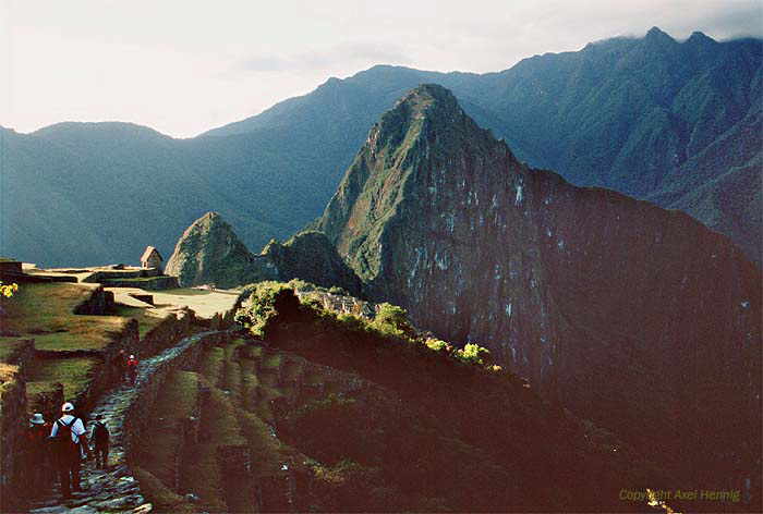 Machu Picchu