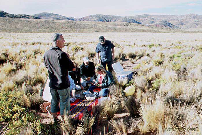 Hochebene mit Ichu-Gras