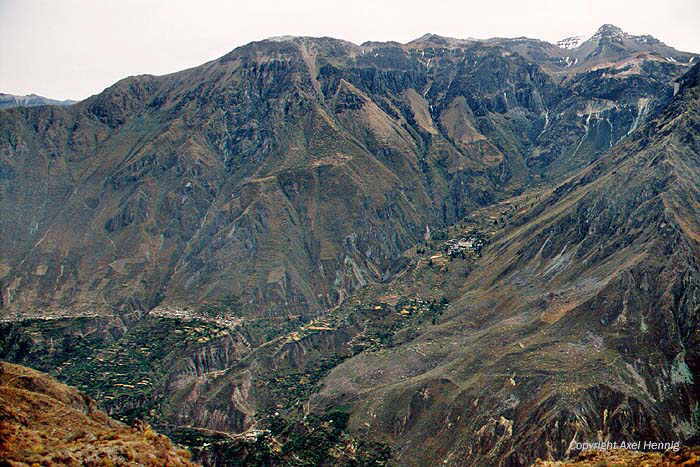 Colca Canyon