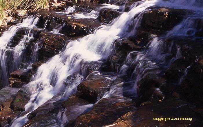 Fortescue Falls