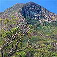 Mt Beerwah, Glass House Mountains